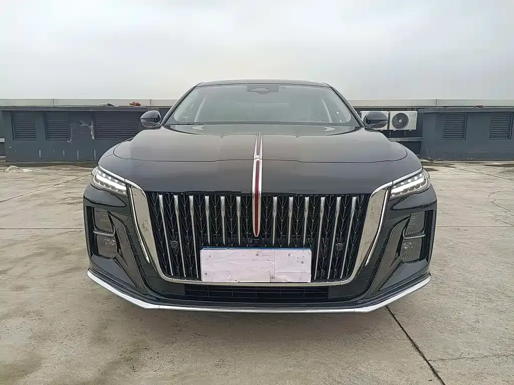 Hongqi H5 2023 из CN, фото 2
