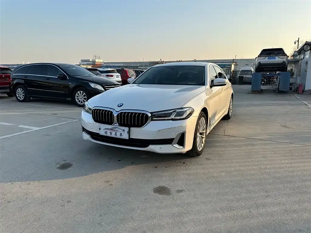 BMW 5 Series 2021 из CN, фото 1