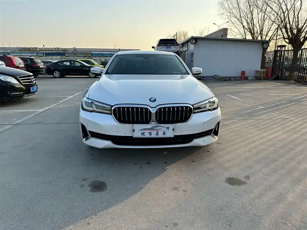 BMW 5 Series 2021 из CN, фото 9