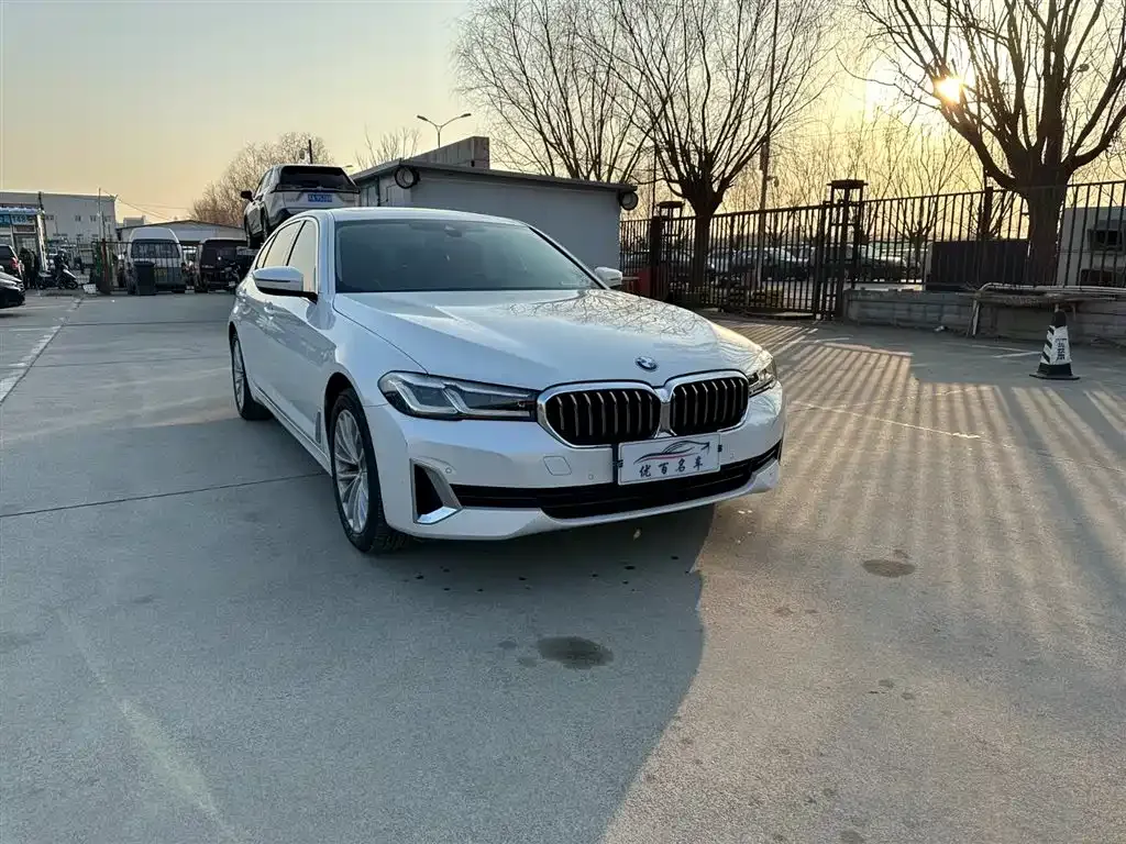 BMW 5 Series 2021 из CN, фото 3