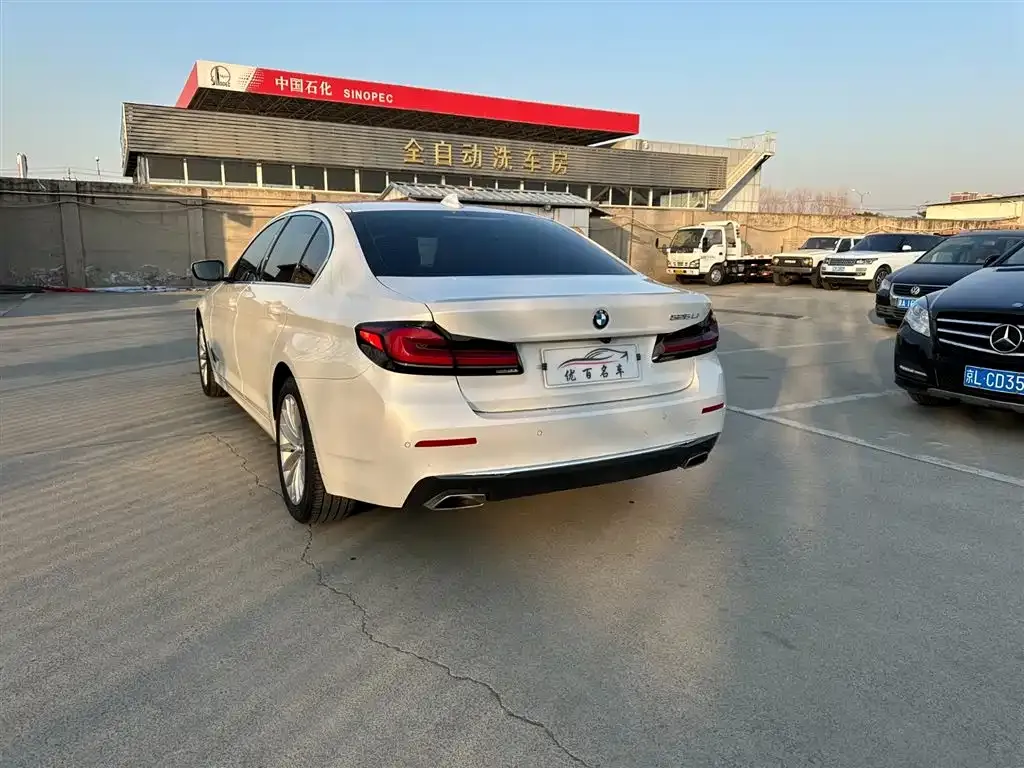 BMW 5 Series 2021 из CN, фото 5