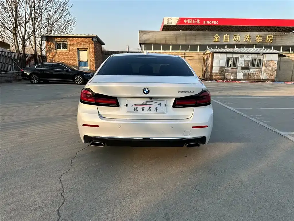 BMW 5 Series 2021 из CN, фото 10