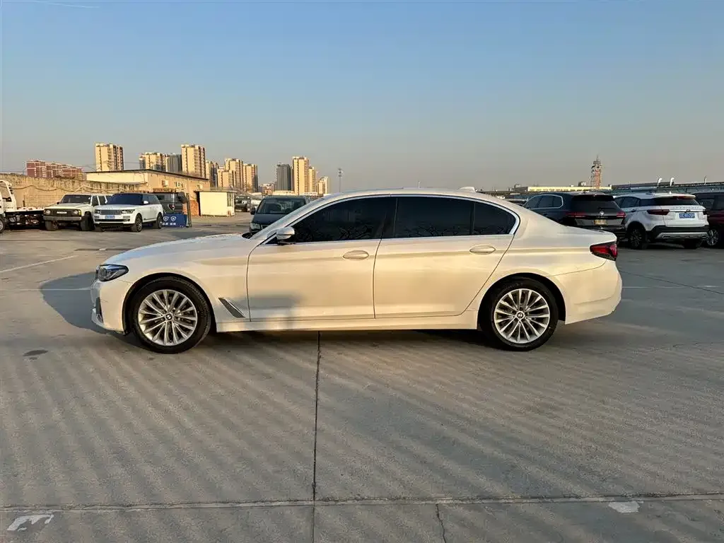BMW 5 Series 2021 из CN, фото 4