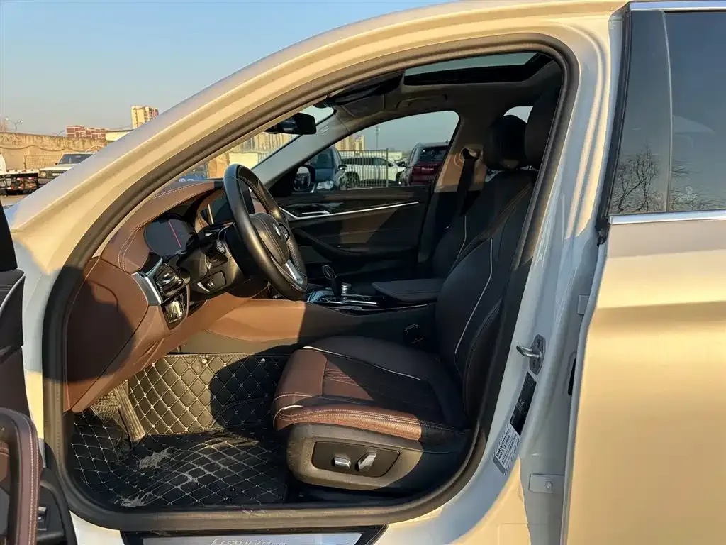 BMW 5 Series 2021 из CN, фото 8