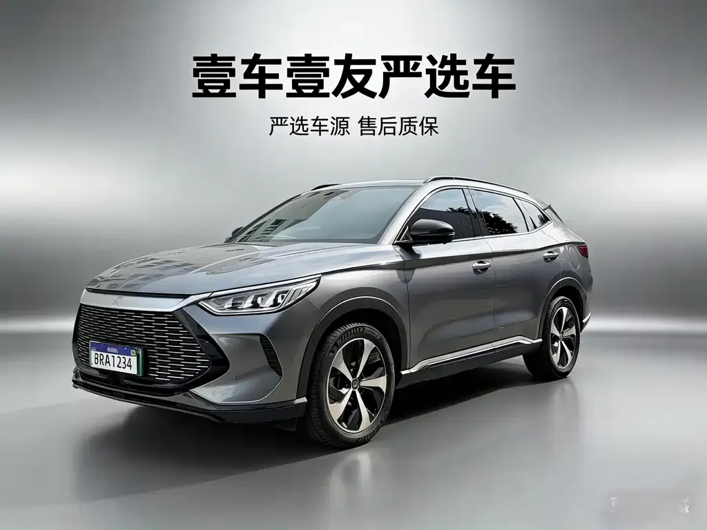 BYD PLUS New Energy 2022 из CN, фото 1