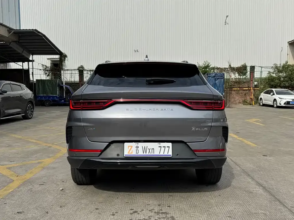 BYD PLUS New Energy 2022 из CN, фото 6