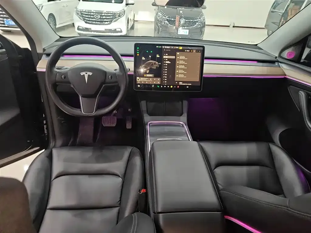 Tesla Model Y 2021 из CN, фото 10