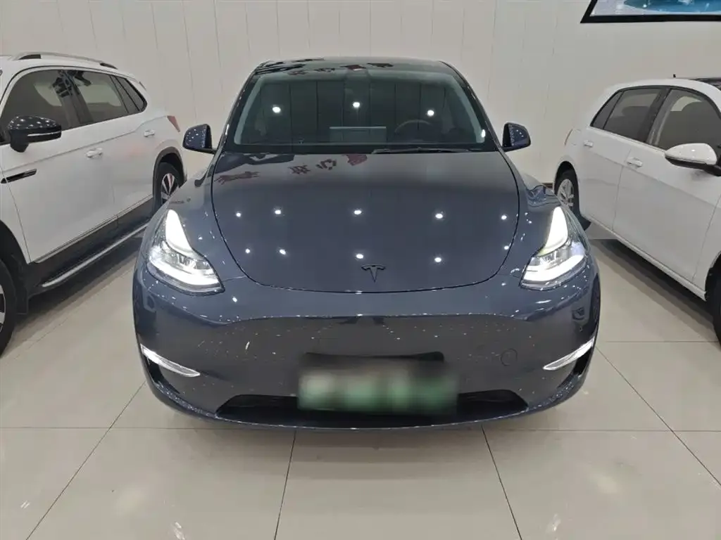 Tesla Model Y 2021 из CN, фото 3