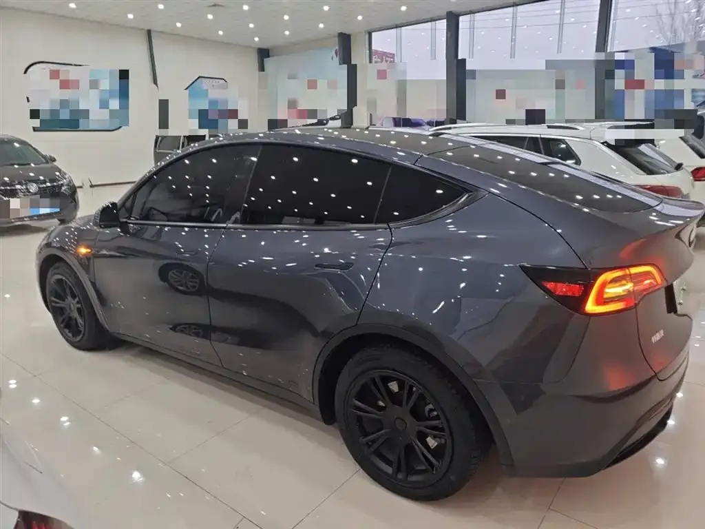 Tesla Model Y 2021 из CN, фото 5