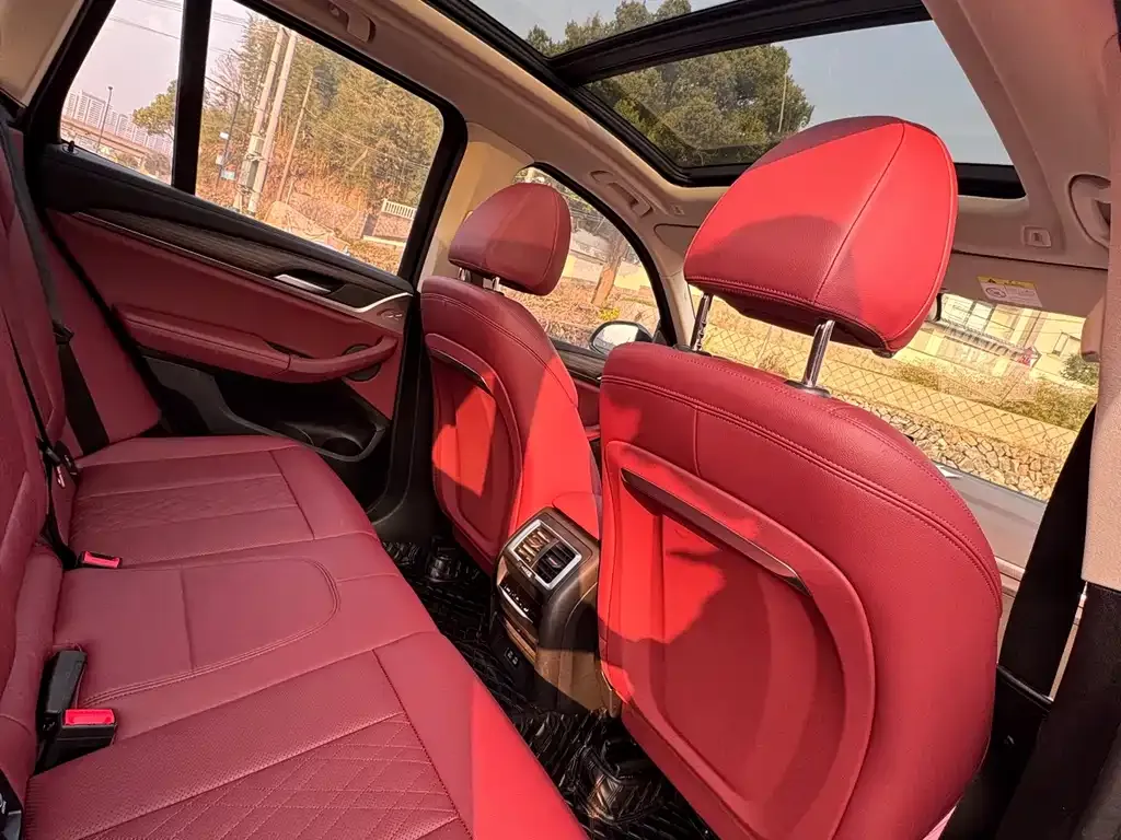 BMW X3 2022 из CN, фото 6