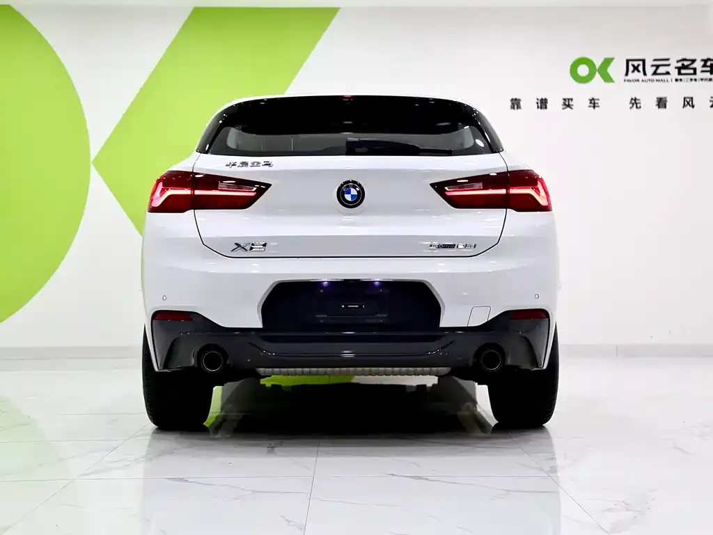 BMW X2 2023 из CN, фото 10