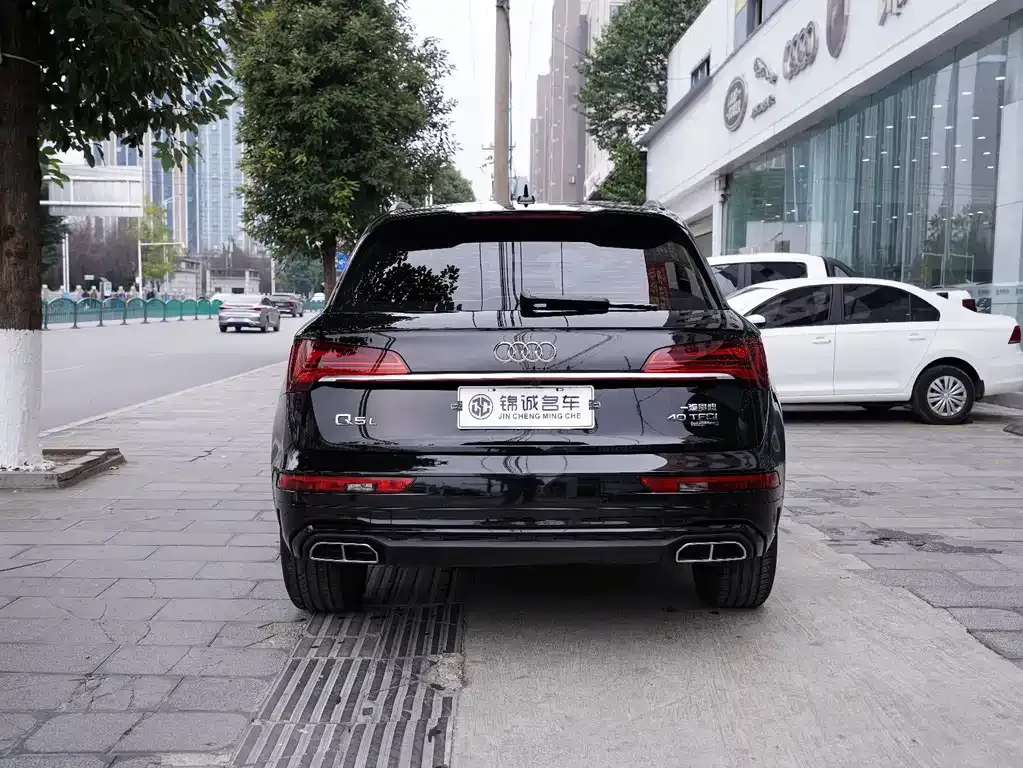 Audi Q5L 2024 из CN, фото 3