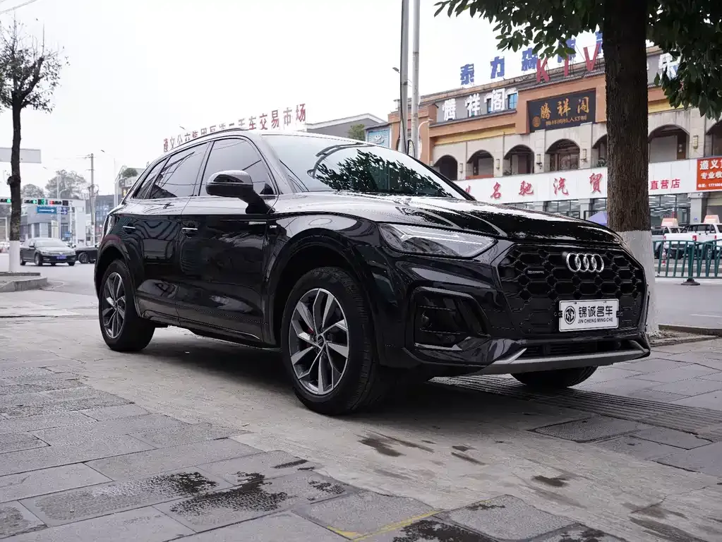 Audi Q5L 2024 из CN, фото 9
