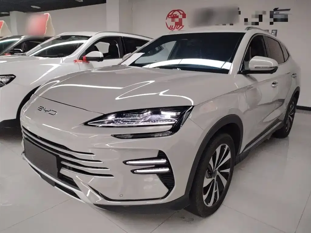 BYD PLUS New Energy 2024 из CN, фото 7