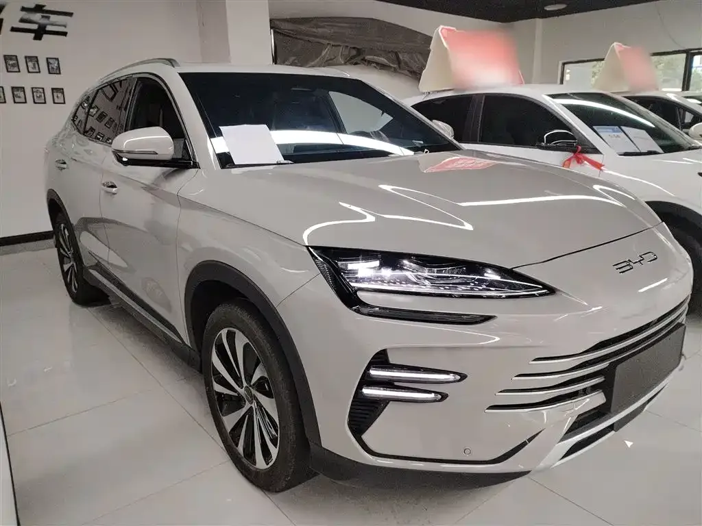 BYD PLUS New Energy 2024 из CN, фото 5