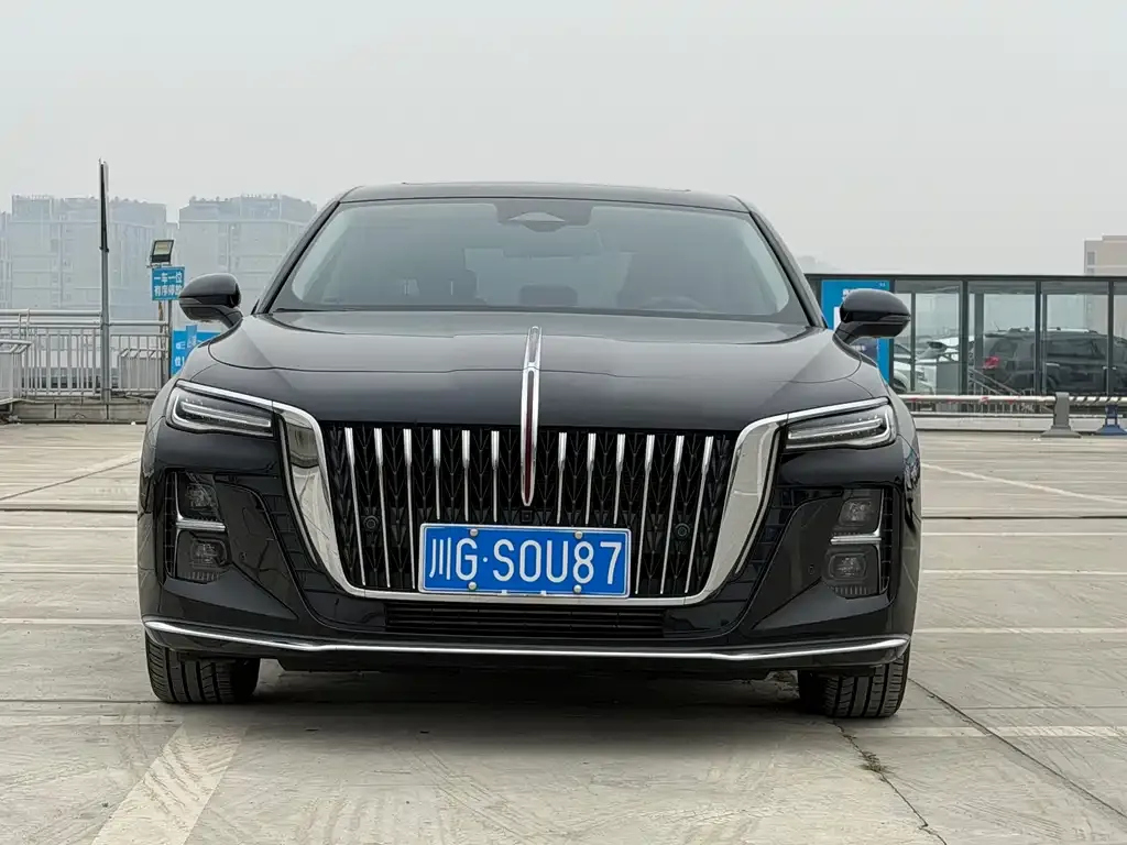 Hongqi H5 2023 из CN, фото 2