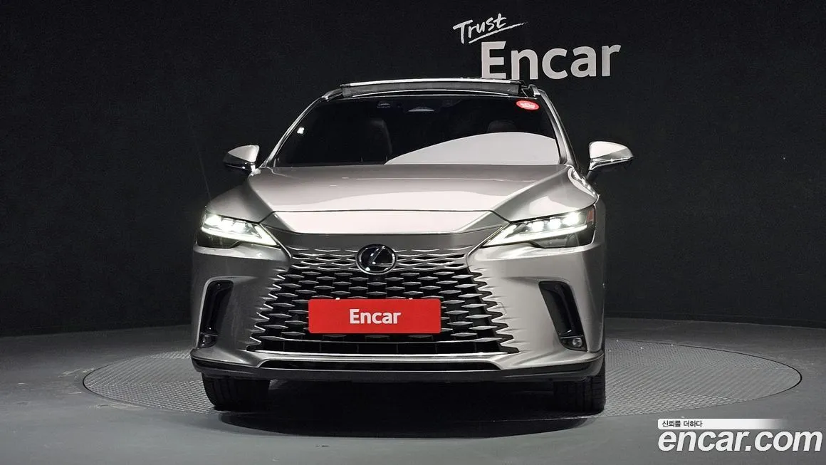 Lexus RX 2023 из KR, фото 6