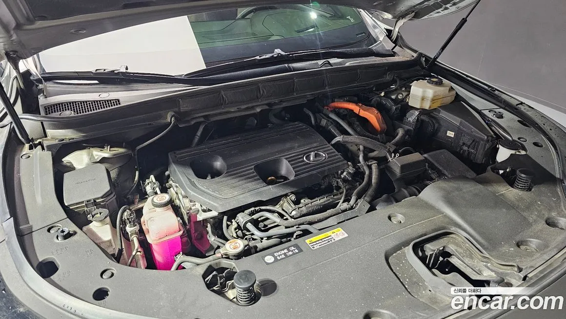 Lexus RX 2023 из KR, фото 9