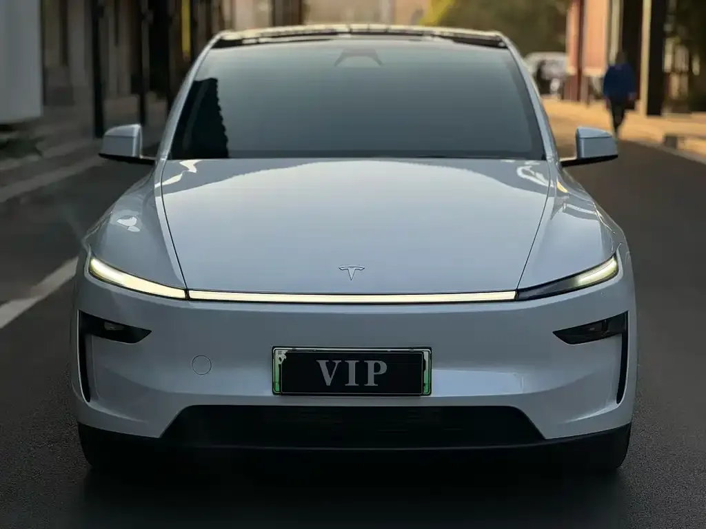 Tesla Model Y 2025 из CN, фото 4