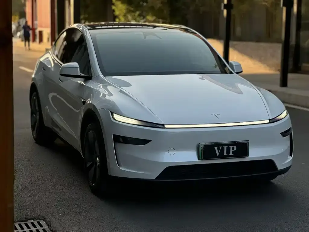 Tesla Model Y 2025 из CN, фото 2