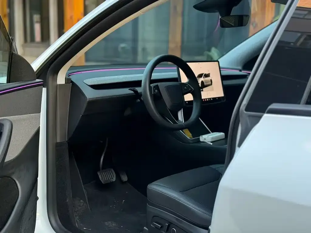 Tesla Model Y 2025 из CN, фото 3