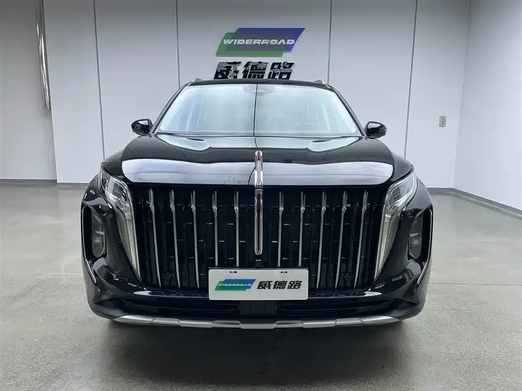 Hongqi HS7 PHEV 2025 из CN, фото 2