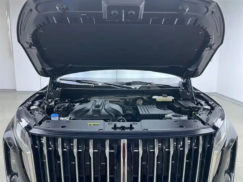 Hongqi HS7 PHEV 2025 из CN, фото 9