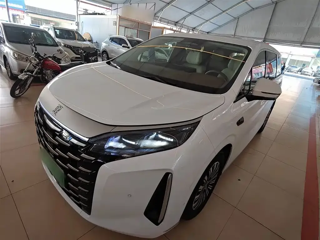 BYD Xia 2025 из CN, фото 1
