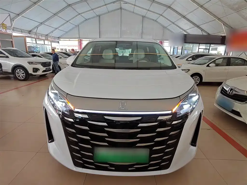 BYD Xia 2025 из CN, фото 4