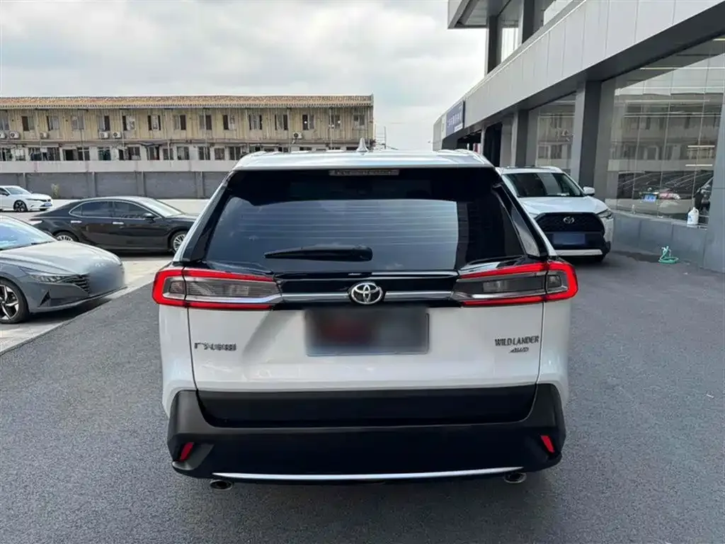 Toyota Wildlander 2022 из CN, фото 10