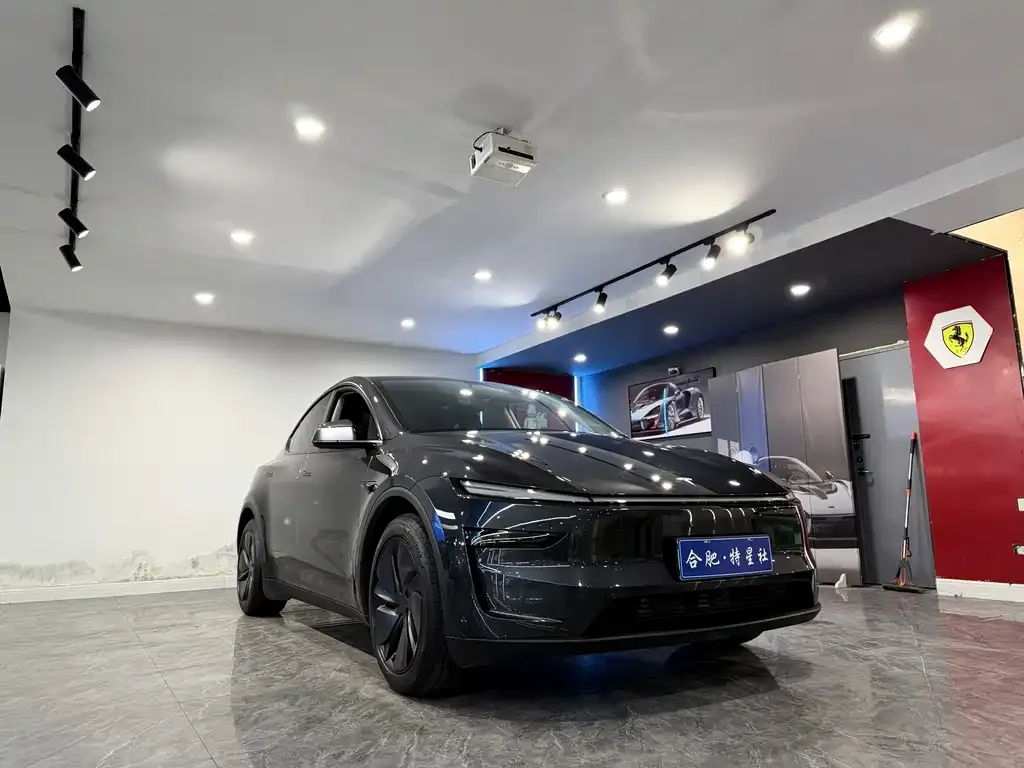 Tesla Model Y 2025 из CN, фото 9