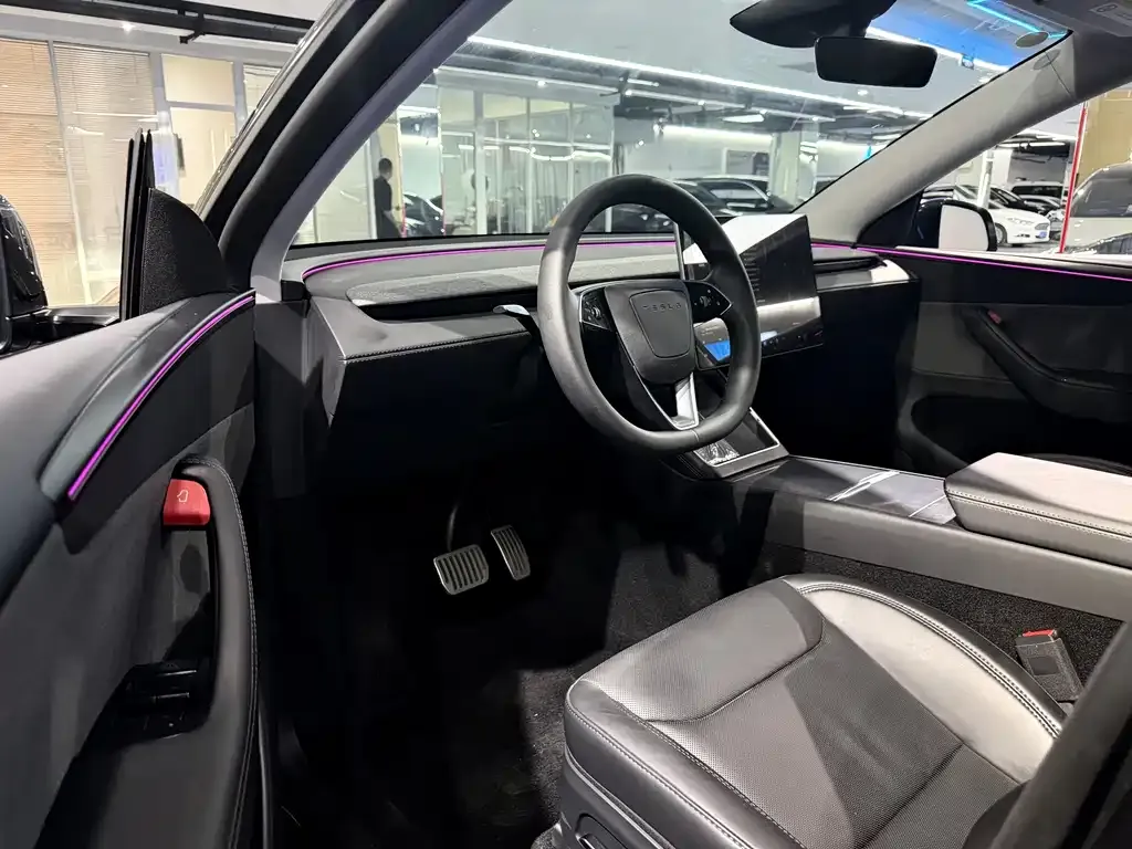 Tesla Model Y 2025 из CN, фото 10