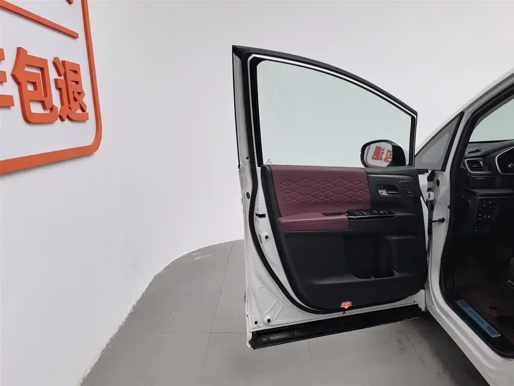 Honda Elysion 2023 из CN, фото 5