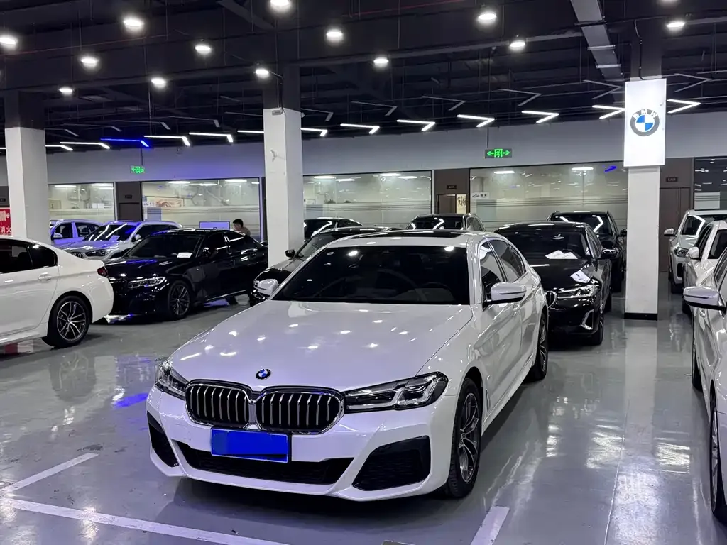 BMW 5 Series 2022 из CN, фото 1