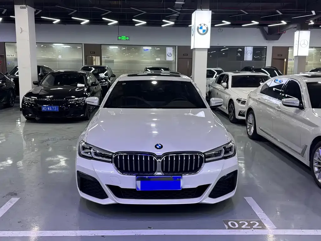 BMW 5 Series 2022 из CN, фото 9