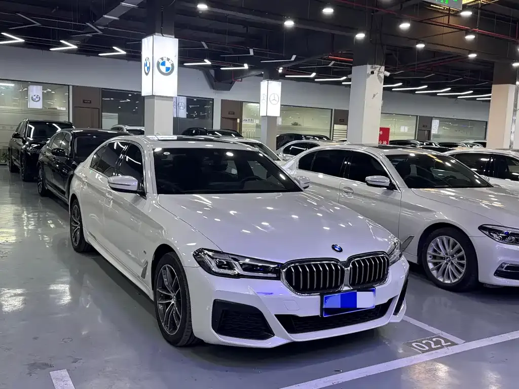 BMW 5 Series 2022 из CN, фото 5
