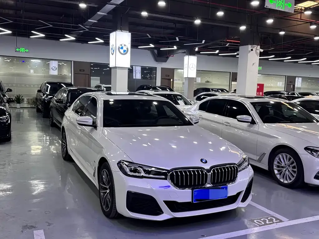BMW 5 Series 2022 из CN, фото 8