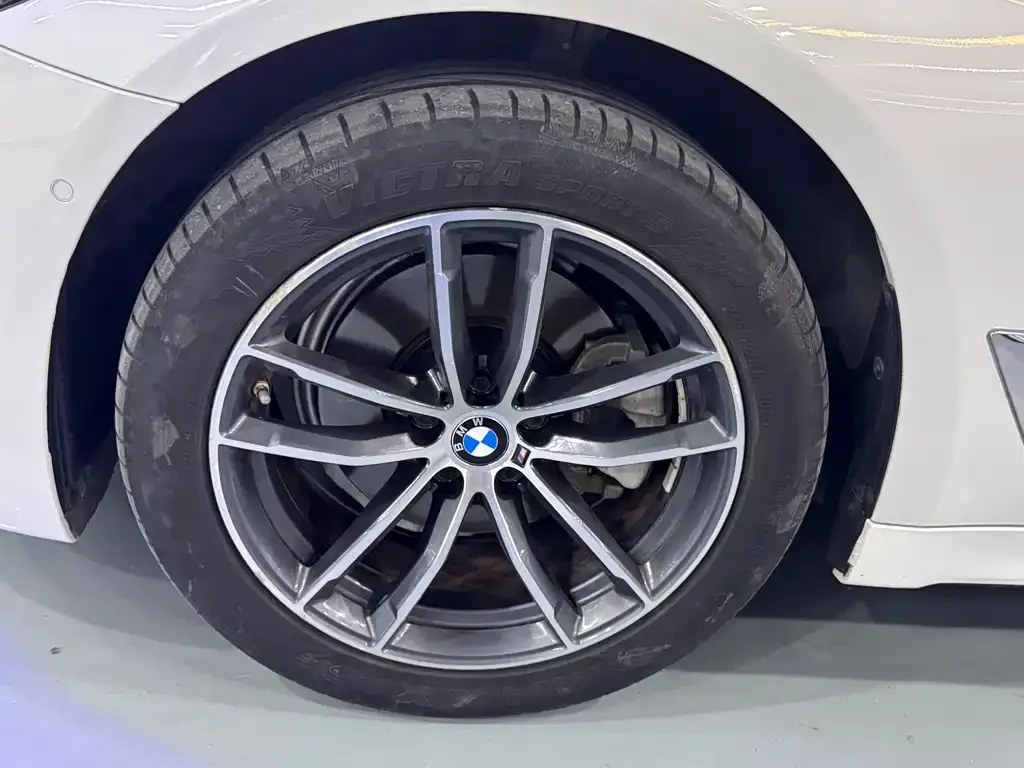 BMW 5 Series 2022 из CN, фото 7