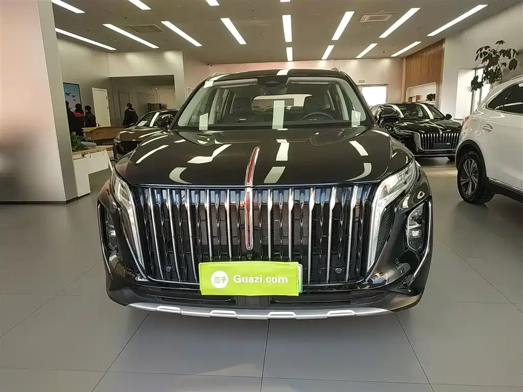 Hongqi HS7 PHEV 2024 из CN, фото 2