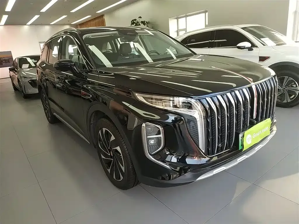Hongqi HS7 PHEV 2024 из CN, фото 6