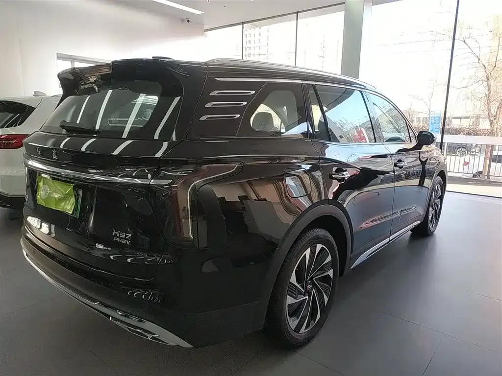 Hongqi HS7 PHEV 2024 из CN, фото 8