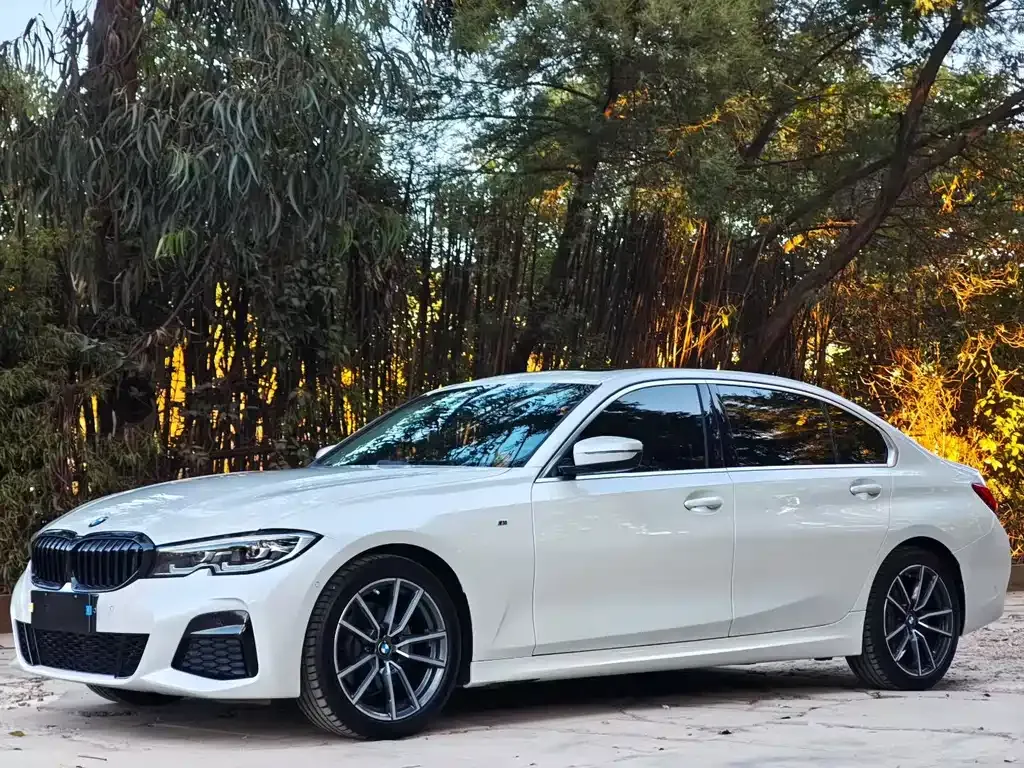 BMW 3 Series 2021 из CN, фото 1