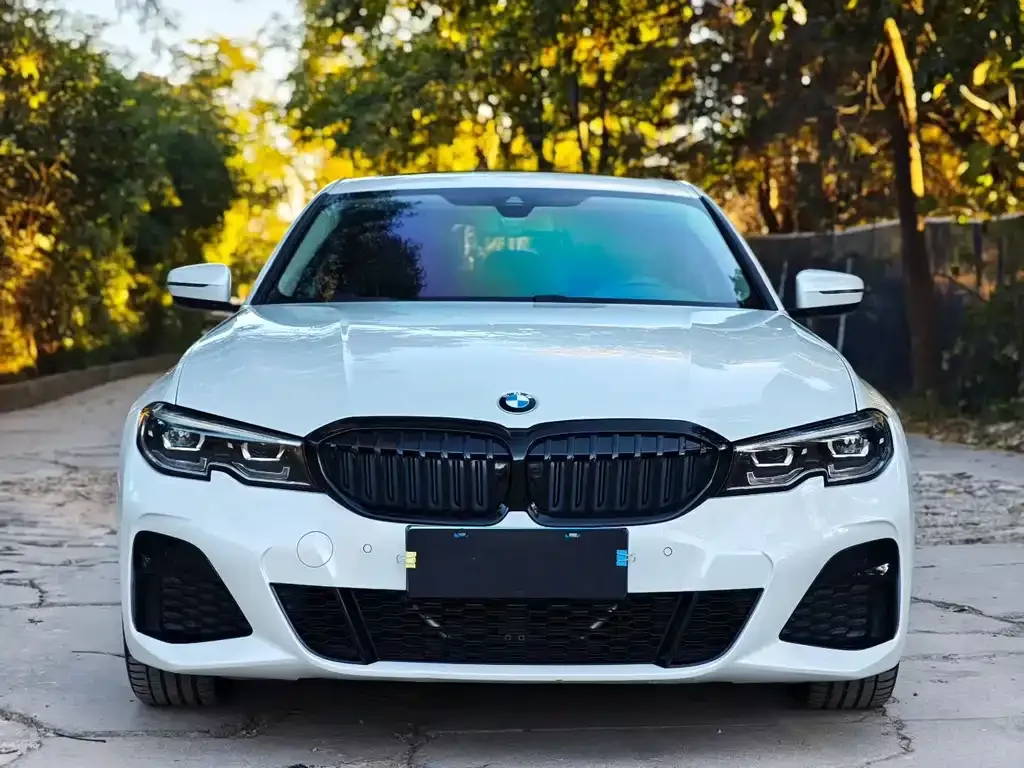 BMW 3 Series 2021 из CN, фото 2