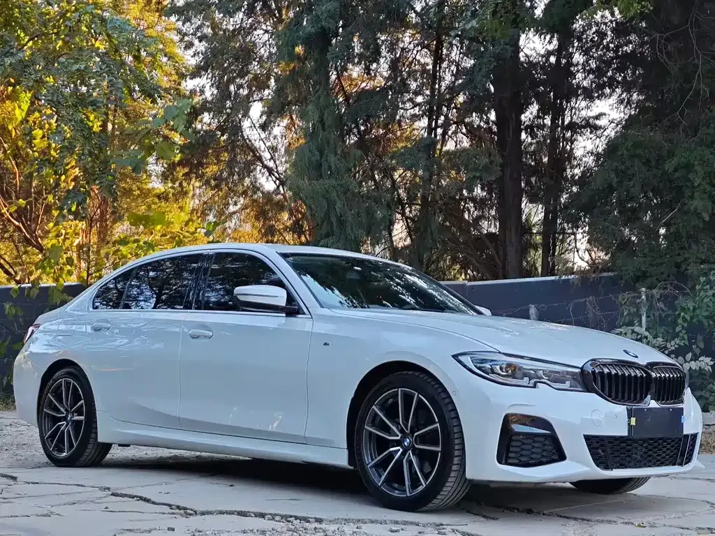 BMW 3 Series 2021 из CN, фото 3