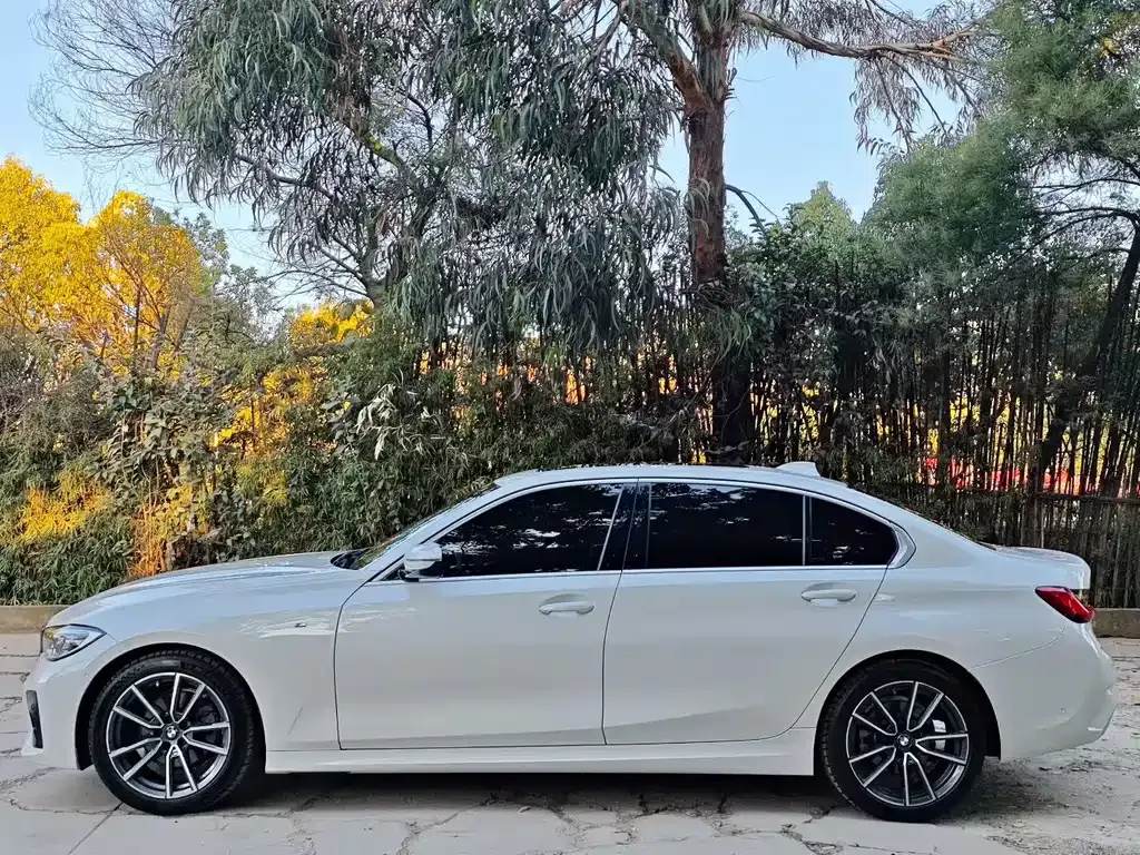BMW 3 Series 2021 из CN, фото 7