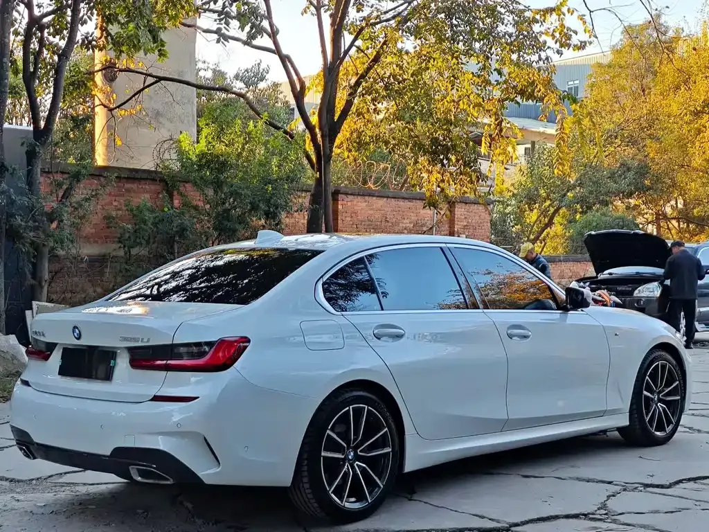 BMW 3 Series 2021 из CN, фото 9