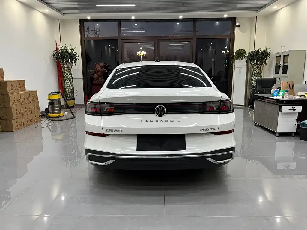 Volkswagen Lamando 2023 из CN, фото 6