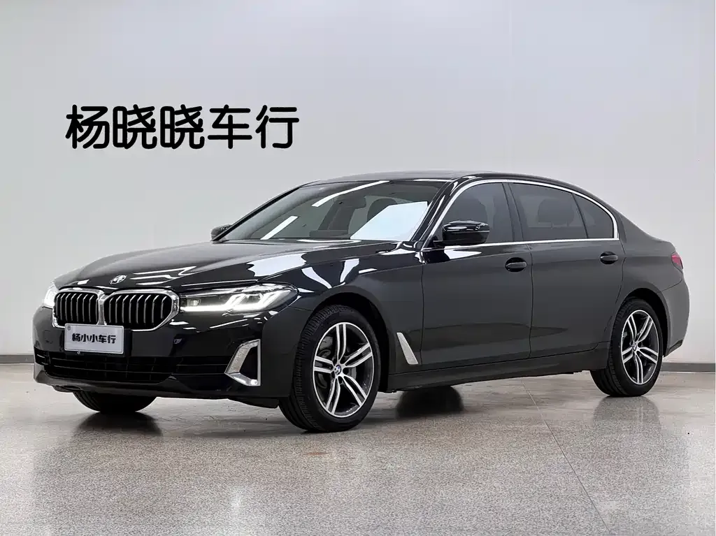 BMW 5 Series 2021 из CN, фото 1