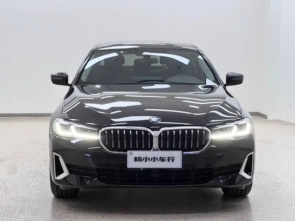 BMW 5 Series 2021 из CN, фото 6