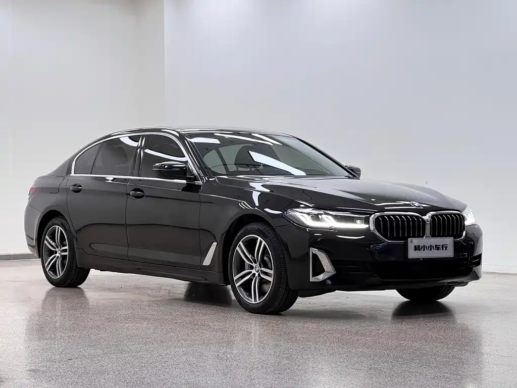 BMW 5 Series 2021 из CN, фото 2